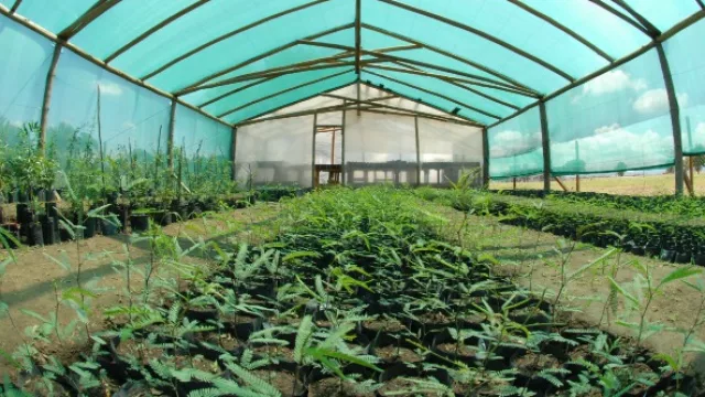 Siete Soles la “miniciudad” que avanza en su plan para ser ecoamigable