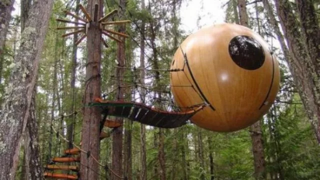 A lo Tarzán, tu propia casa de árbol