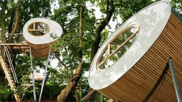 Nuevas formas se incorporan a las casas de árbol, como ésta: líneas curvas y limpias.