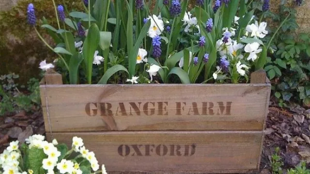 Casi sin ningún retoque, un excajón se convierte en una excelente maceta.