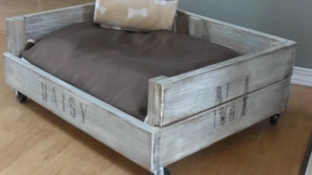 La cucha del perro puede tener estilo con muy poco dinero y mucha imaginación.