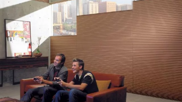 Las Elan Eclipse, funcionan como blackouts impidiendo la entrada de luz exterior en ambientes del hogar como el living, donde no queremos reflejos en las parallas del televisor.