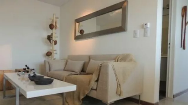 El living sectorizado con una alfombra para delimitar el espacio de descanso.