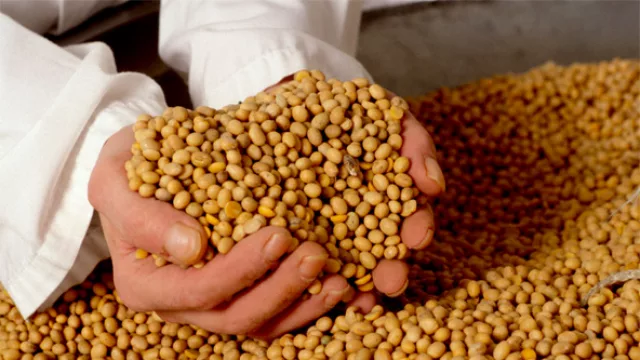 “Rosas para unos, espinas para otros”: las exportaciones mantienen buena racha en algunos rubros