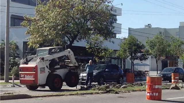 Comerciantes y vecinos resisten el Sólo Bus