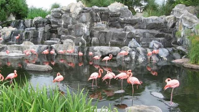 Le gustaría un Temaikèn en el Parque Sarmiento
