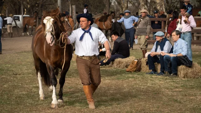 Mañana abre la Expo Rural Salta: cinco días para disfrutar del campo, los caballos y las tradiciones