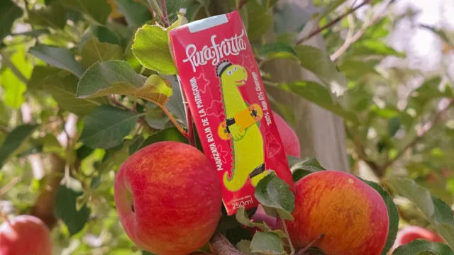 Los desafíos de las empresas B que exportan sus productos al mundo (Arytza, Pura Frutta, Las Quinas y más)