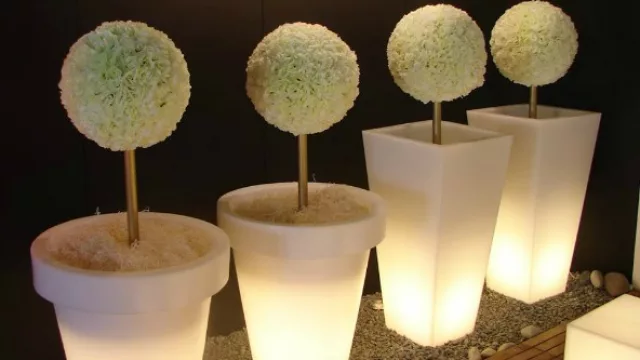 Las macetas, un clásico de Doble Giro.