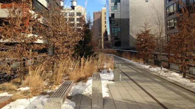 Aún con frío y naturaleza reservada, High Line conmueve con su diseño.