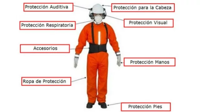 La argentina Libus intensifica su presencia en Paraguay con oficinas directas