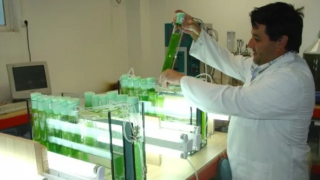 Cuando la solución la tiene el enemigo (dicen que pueden obtener biocombustible del CO2)