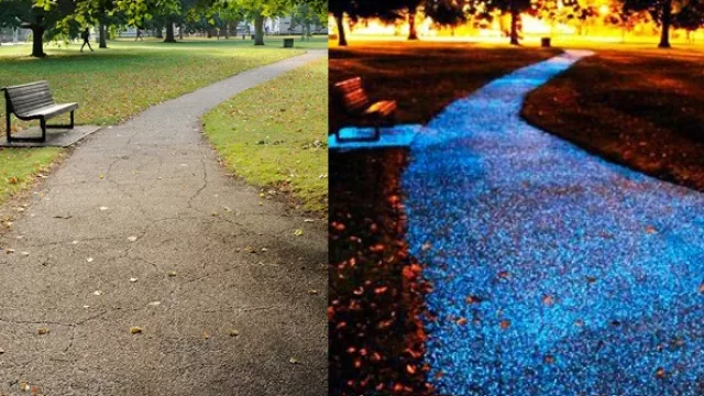 El camino en Cambridge de día y de noche.