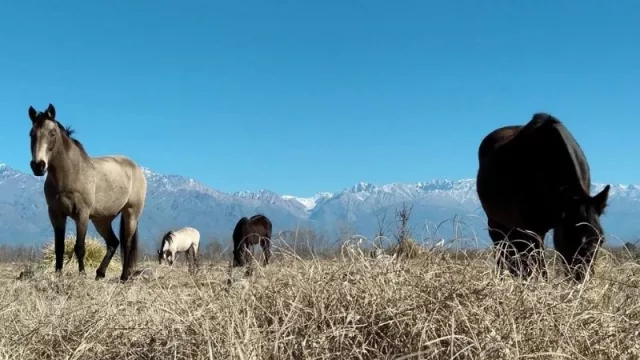 Estancia Uco, un consorcio turístico en Cordón del Plata que se comercializa en cripto