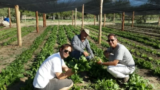En la comarca ya funcionan las huertas orgánicas (sin agroquímicos) auditadas por el INTA.