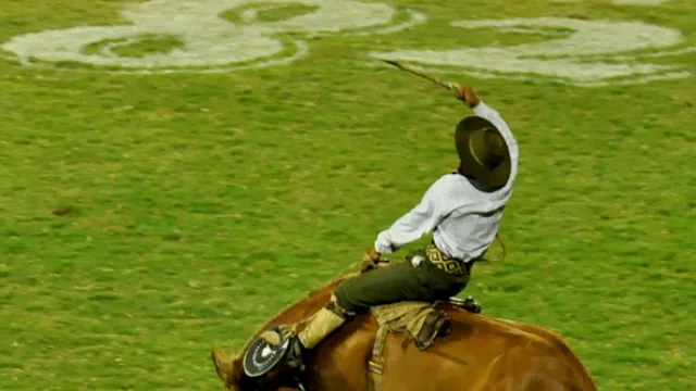 En contra de los “ambientaltontos” (pero con respeto)