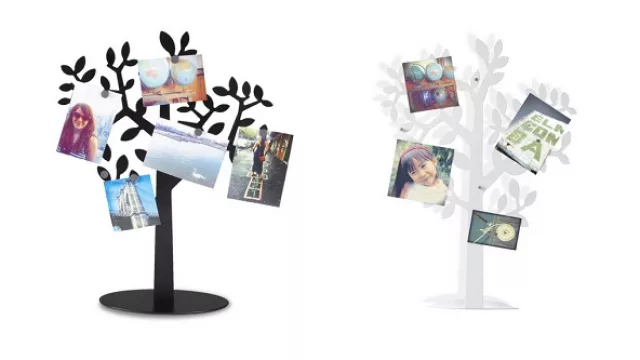  Laurel como cuadro en negro y blanco by Umbra. Disponible en casas de diseño de Córdoba y online en Umbra.com.