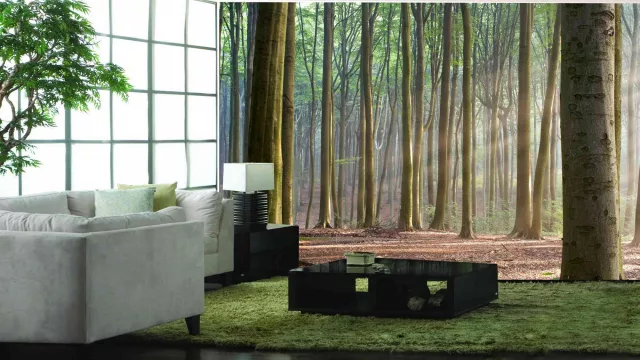 Ilusiones “naturales”: fotomurales