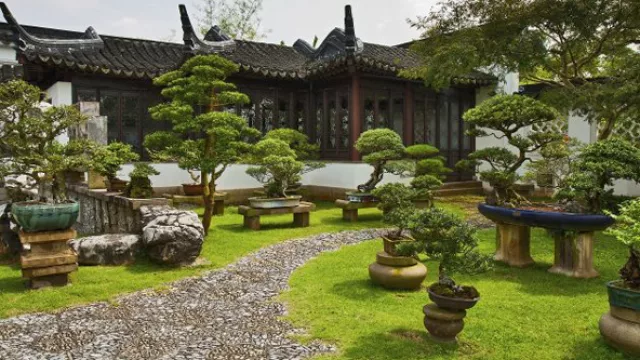 Caminos curvos que simulan las ondas de la naturaleza son ideales para los ingresos.