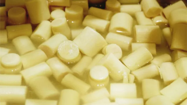 El palmito nacional apunta “seducir” al mercado europeo (Chololó produce más de 100 TN/año)