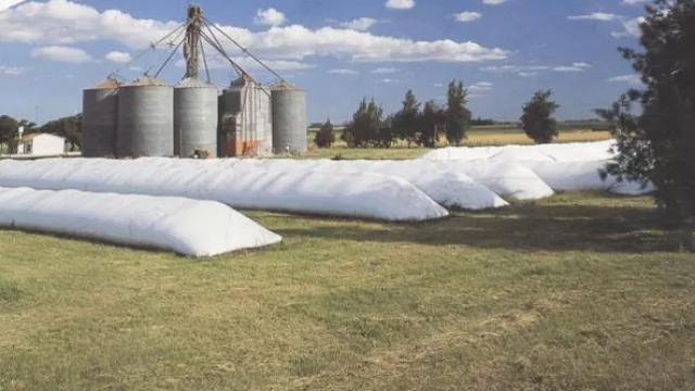 Silos, con el doble de soja que hace un año (US$ 2.000M que necesita CFK para pasar el verano)