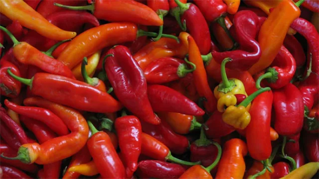 Paraguay quiere ingresar al negocio “picante” de la exportación de ají molido