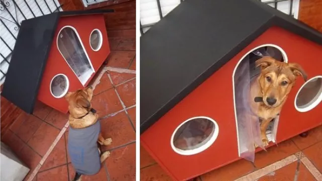 Cuchas térmicas fabricadas a pedido (0351 153131335) by Jorge Bustos. Fabricada con madera y telgopor.