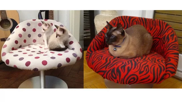 Sillones para gatos de Loa’s Confort disponible en Facebook (www.facebook.com/loas.confort)