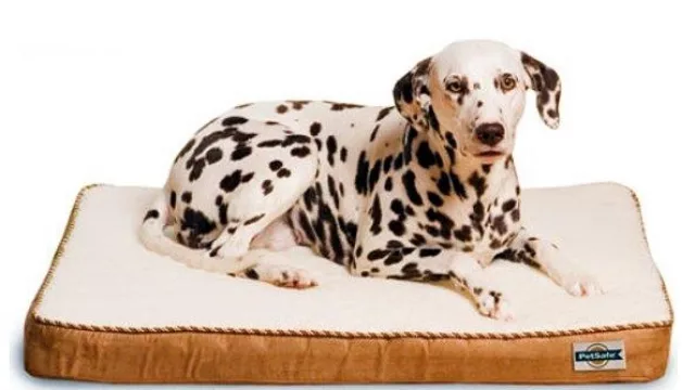 Y algunos gadgets disponibles en el exterior de venta online: PetSafe y su colchón con masaje (vibraciones) y calor.
