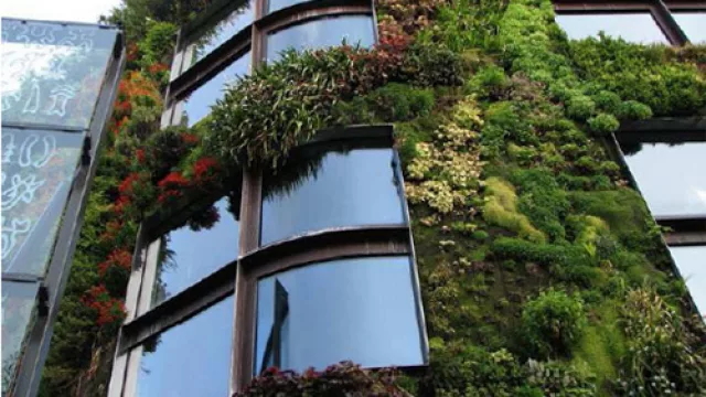 Un metro cuadrado equivale al oxígeno para un año