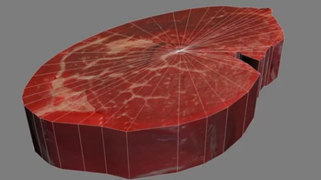 ¿“Technocarne”? Software reconstruye (en 3D) los animales faenados para clasificar su calidad