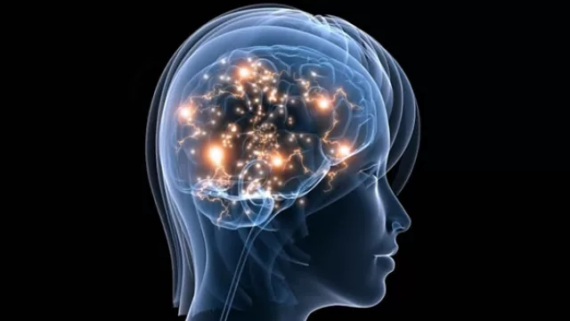 El negocio del año no son los bitcoins, es invertir en el cerebro de la mujer