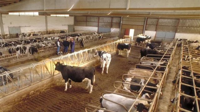 El sector que registró una de las financiaciones bancarias más importantes en el periodo 2013