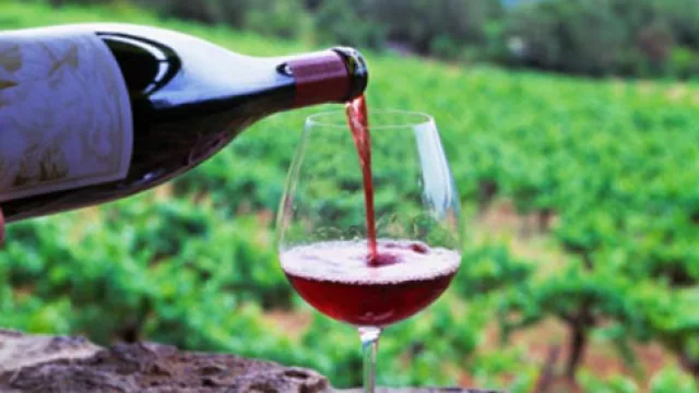 A tres meses de que termine el año, el mercado interno de vinos (nacionales) superó los 50 millones de litros