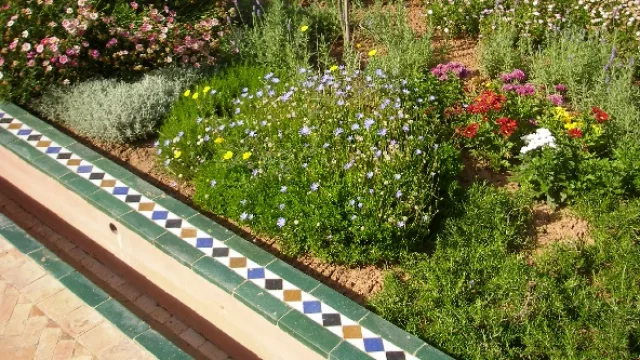 Contenedores con azulejos pueden remplazarse con macetas coloridas.