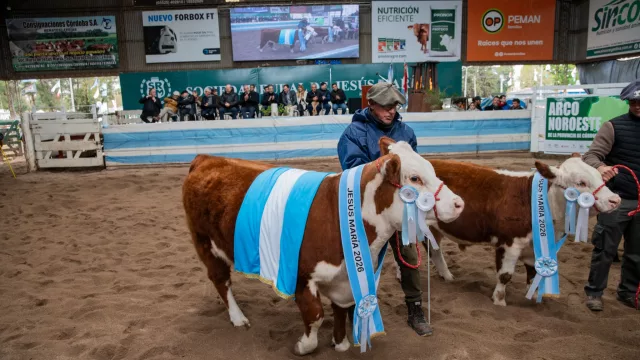 Remates de la 79ª Expo Rural Jesús María: un toro Limousin llegó a $22 millones