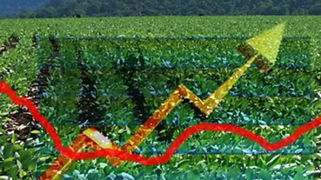 La soja nuevamente en los $ 2.000 por tonelada (¿cambio de tendencia o volverá la baja?)