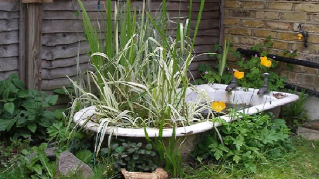 Si querías tener una fuente podés jugar con una bañera y crear un pequeño estanque.