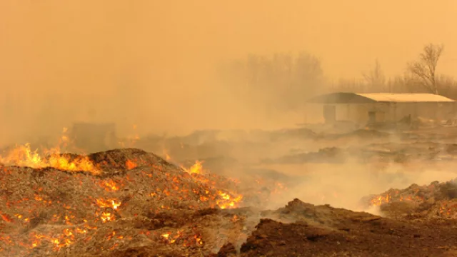 Incendios en Calamuchita reavivaron la polémica por el manejo forestal sostenible