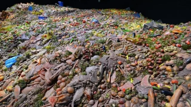 Cómo rediseñar el sistema alimentario para evitar el desperdicio (en España, 176 Kg per cápita)