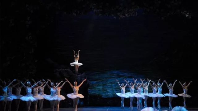 El Lago de los Cisnes fue visto por casi 22 mil espectadores en 12 funciones