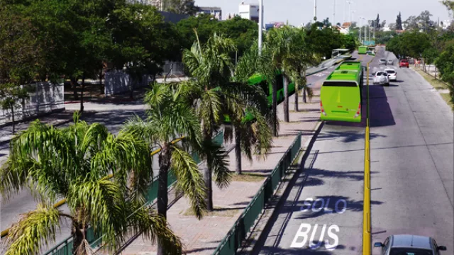 Los corredores Solo Bus se implementarán en avenidas de la ciudad.