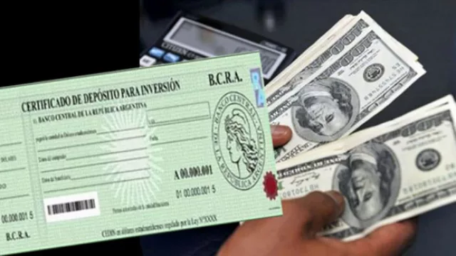 En 45 días, el Cedin genera escaso movimiento