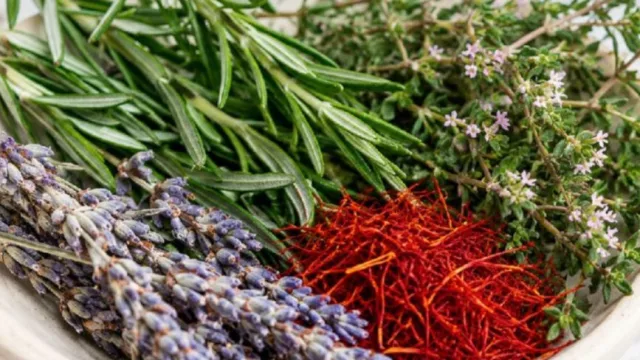 Primer Encuentro de Aromáticas del Valle de Calamuchita ( en Los Reartes)
