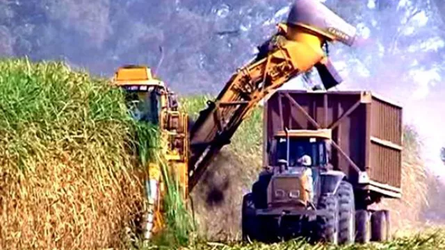 Invierten $ 60 millones para producir bioetanol a base de caña de azúcar