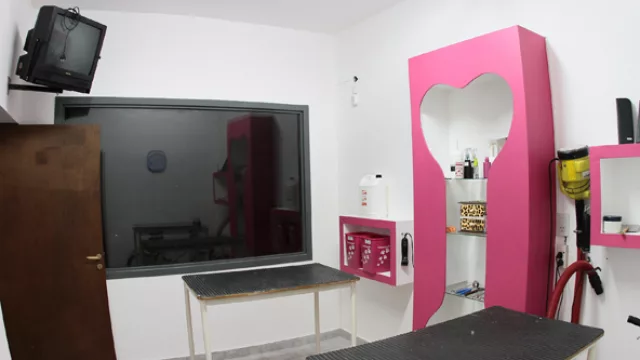 Las intervenciones más importantes ahora se pueden realizar en su propio quirófano.