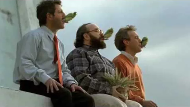 Los dilemas de Nextel: gana plata pero no la puede remesar (busca socio o comprador)