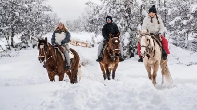 Burpa, la plataforma de experiencias turísticas en la Patagonia 