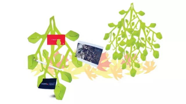 Es cuero ecológico y la naturaleza también se hace eco en los colores, líneas y diseño de las piezas.