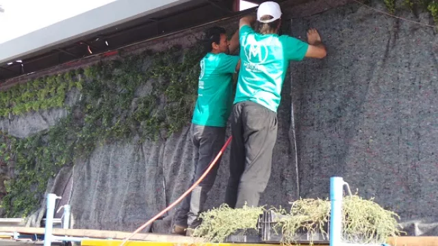 Se colocarán 2.500 plantas formando un pequeño jardín con una vida útil de hasta 8 meses.